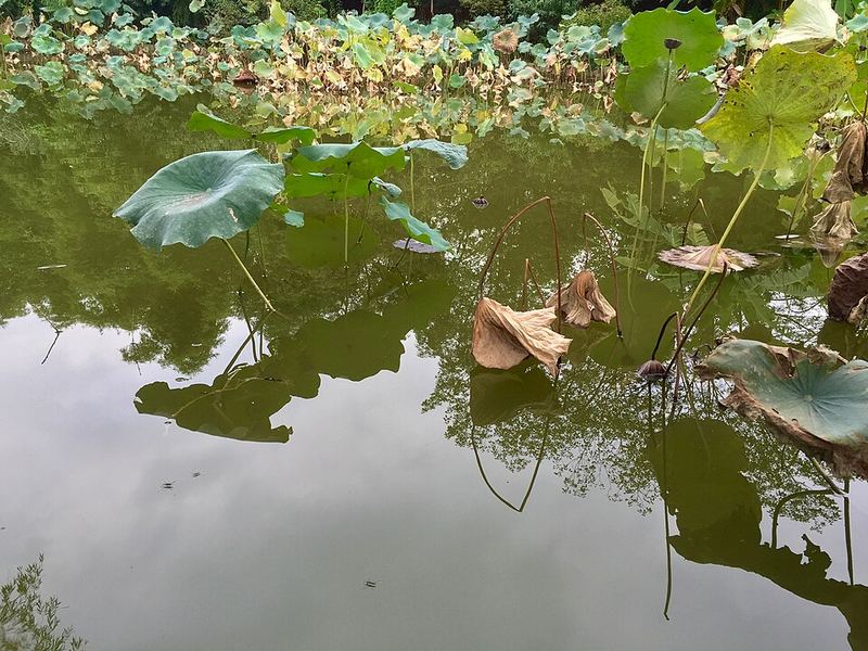 绵阳著名景点风光